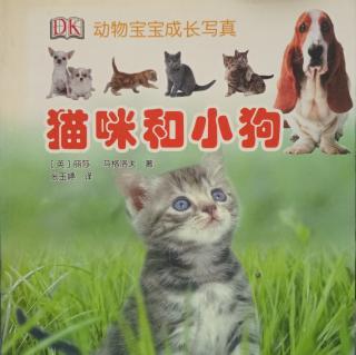 《猫咪和小狗》（下）【英】丽莎·马格洛夫