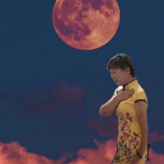 《月亮在说我说你》文/王海桑