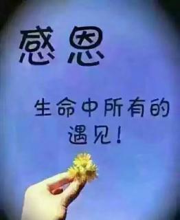 《小红门》（节选）作者：席慕容