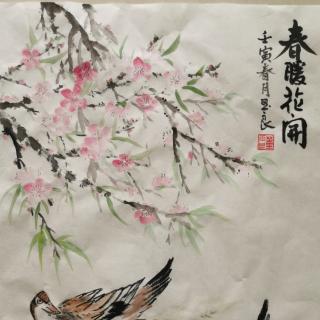 三月的温暖，三月的花