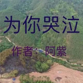 《为你哭泣》阿紫