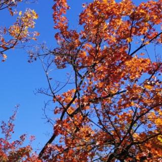 北戴河的秋天
/ 文 于红艳