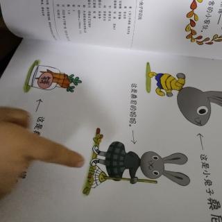 小兔子学花钱