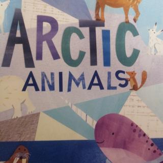 arctic animals