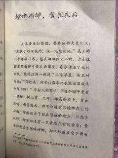 中国古代寓言1螳螂捕蝉，黄雀在后