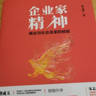 《企业家精神》孤独的决策者