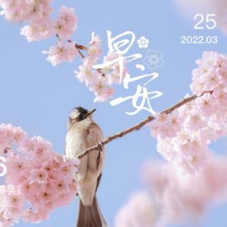 2022.3.25《易经》剥卦至离卦 第七遍