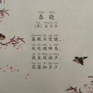 古诗《春晓》