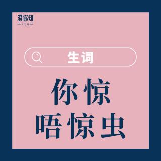 37.你驚唔驚蟲-生詞