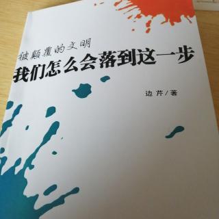 《我们怎么会落到这一步》之前言(上)