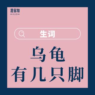 9.烏龜有幾隻腳-生詞（修正）