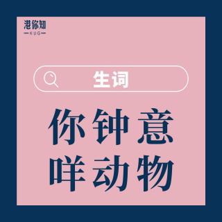 8.你鍾意咩動物-生詞