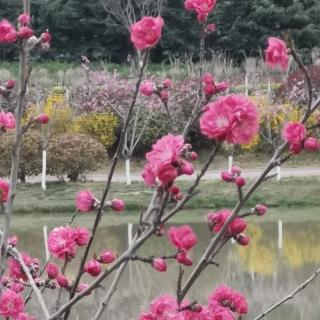 碑林路人作品《沿着梦的光芒》