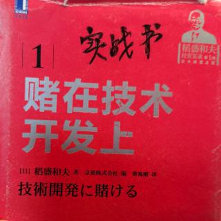 ㊙️“战略集中投入型”孕育创新技术