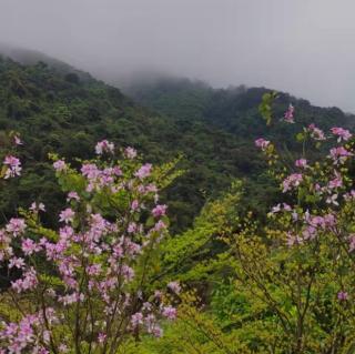 988.游山西村~陆游