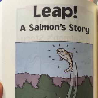 Leap!A Salmon's Story