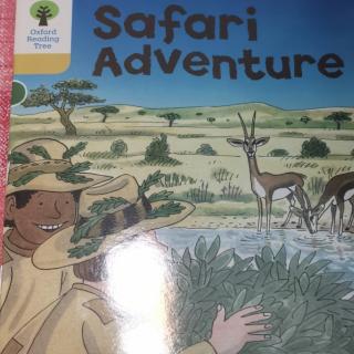 Safari   Adventure