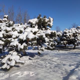 《北方的雪》水木清