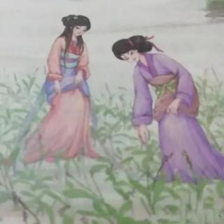 《诗经》8.芣苢（补录）