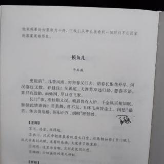 宋词三百首摸鱼儿辛弃疾更你能消