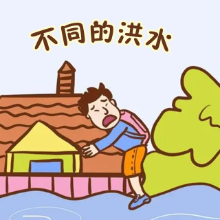 11.不同的洪水 (V0)