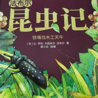 铁嘴伐木工天牛