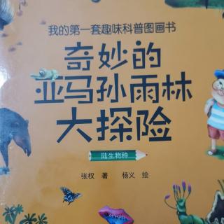 奇妙亚马逊雨林大探险之陆生物种