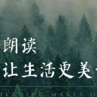 《一个美丽的故事》