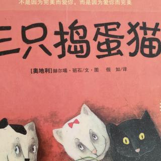 三只捣蛋猫