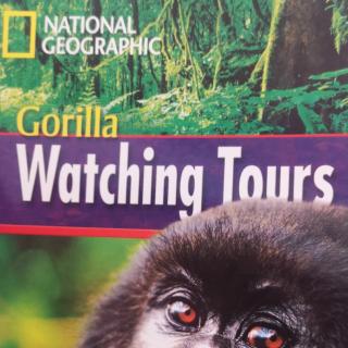 Gorilla Watching Tour by Darcy