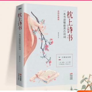 《枕上诗书》32.问世间情为何物