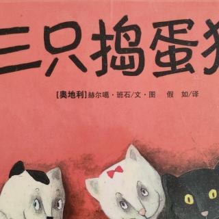 三只捣蛋猫