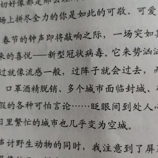 拼尽全力的你，和努力追随的我