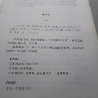 宋词三百首唐多令刘过芦叶满汀洲