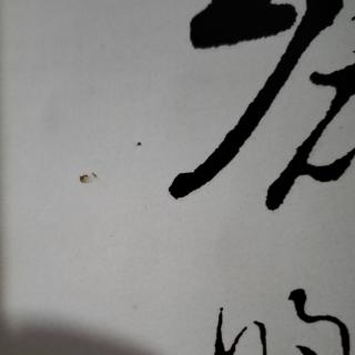 《生命的学问》尊理性