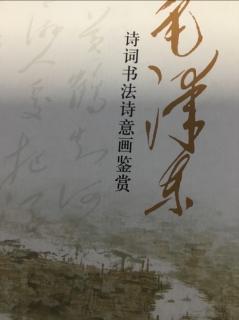 毛泽东诗集 《七绝·观潮》