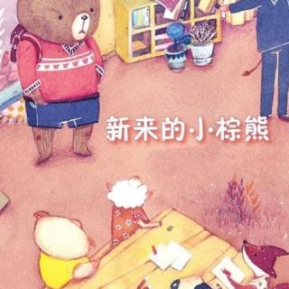 《新来的小棕熊🐻》