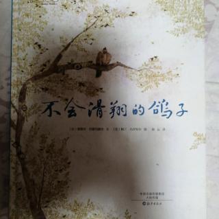 《不会滑翔的鸽子》