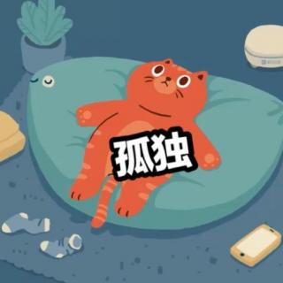 《心情驿站》孤独到绝望的深夜应该怎样渡过