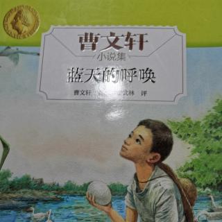 蓝天的呼唤