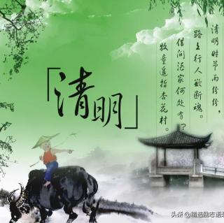 清明   唐/杜牧