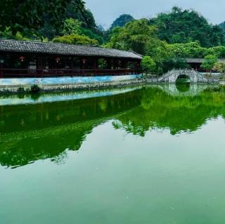 《蘸一湖春水，写岸边一树杏花》