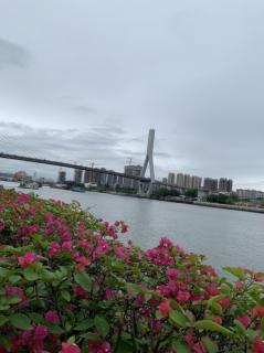 3号王剑威《仿佛》