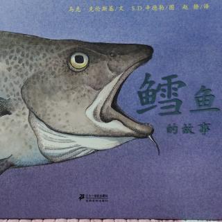 鳕鱼🐟的故事