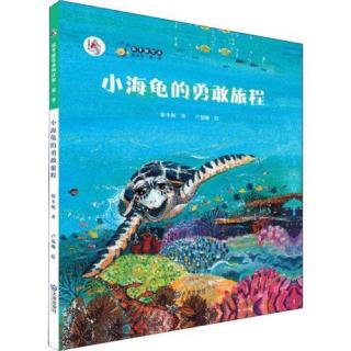 绘本故事《小海龟的勇敢旅程》