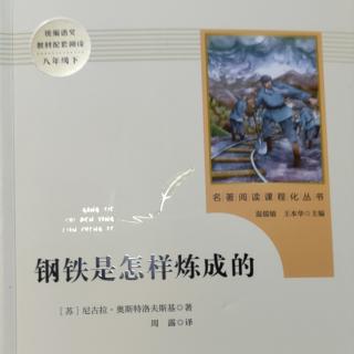 《钢铁是怎样炼成的》第二部第二章（上）