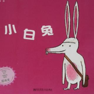 《小白兔》—桃子姐姐