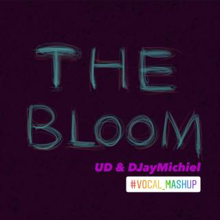 抖音BGM - UD&DJayMichiel - The Bloom （剪辑版）