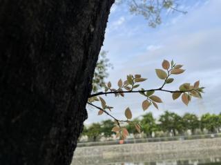 夜晚可怕的怪动静