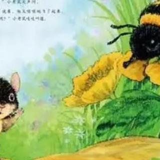 小老鼠舒克和小蜜蜂玛雅
